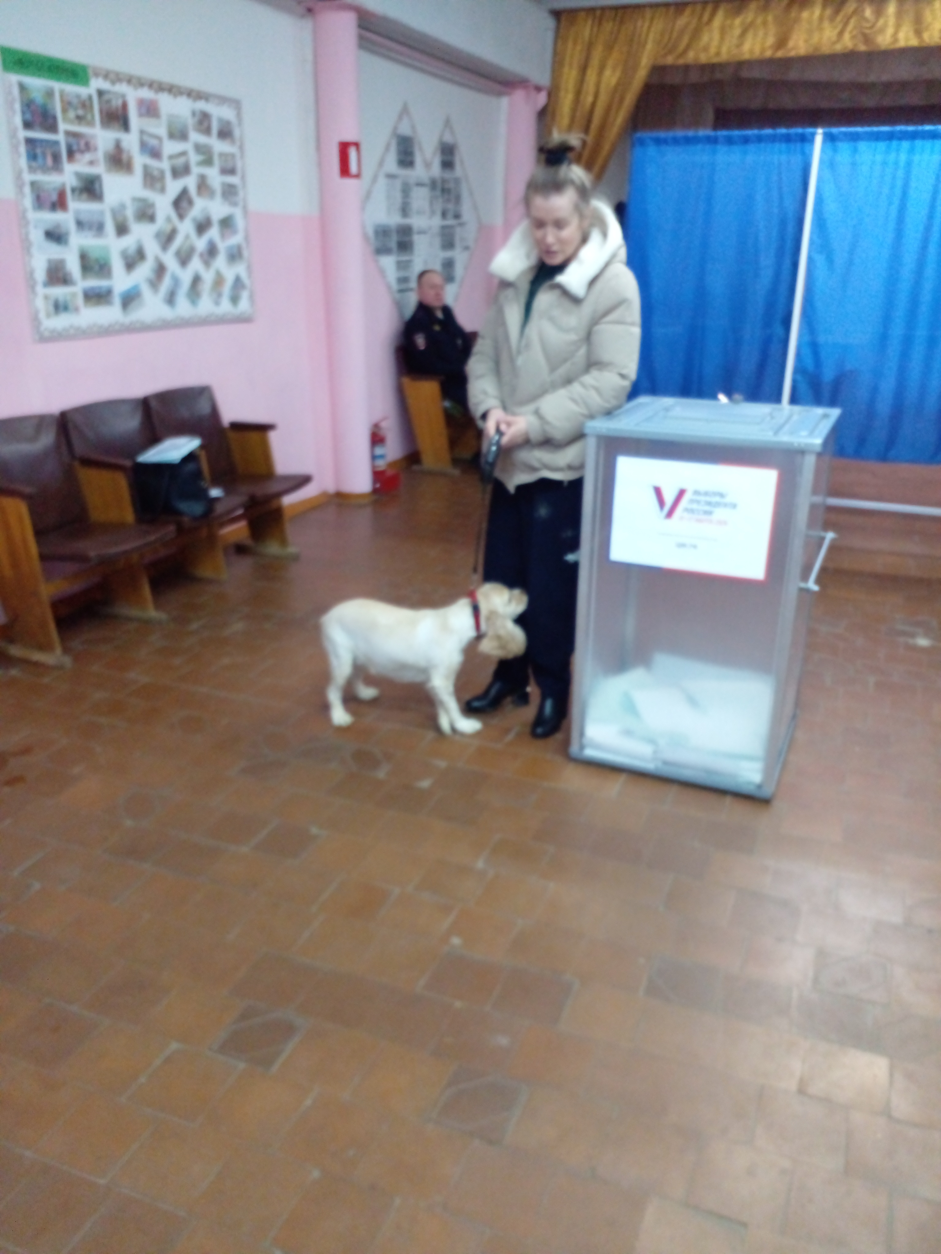 Сообщение наблюдателя — УИК №154, Белгородская область