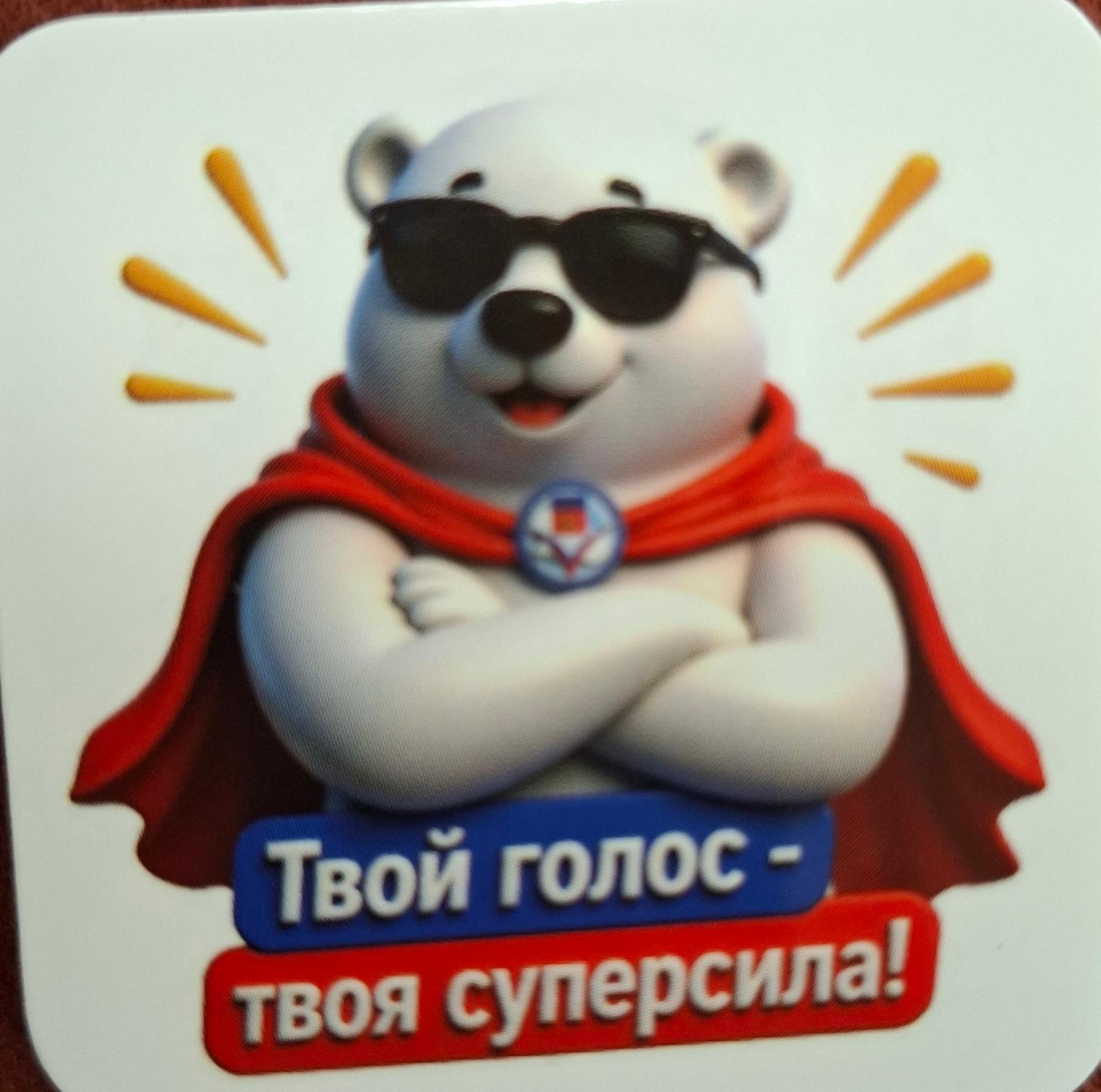 Сообщение — УИК №37, Мурманская область