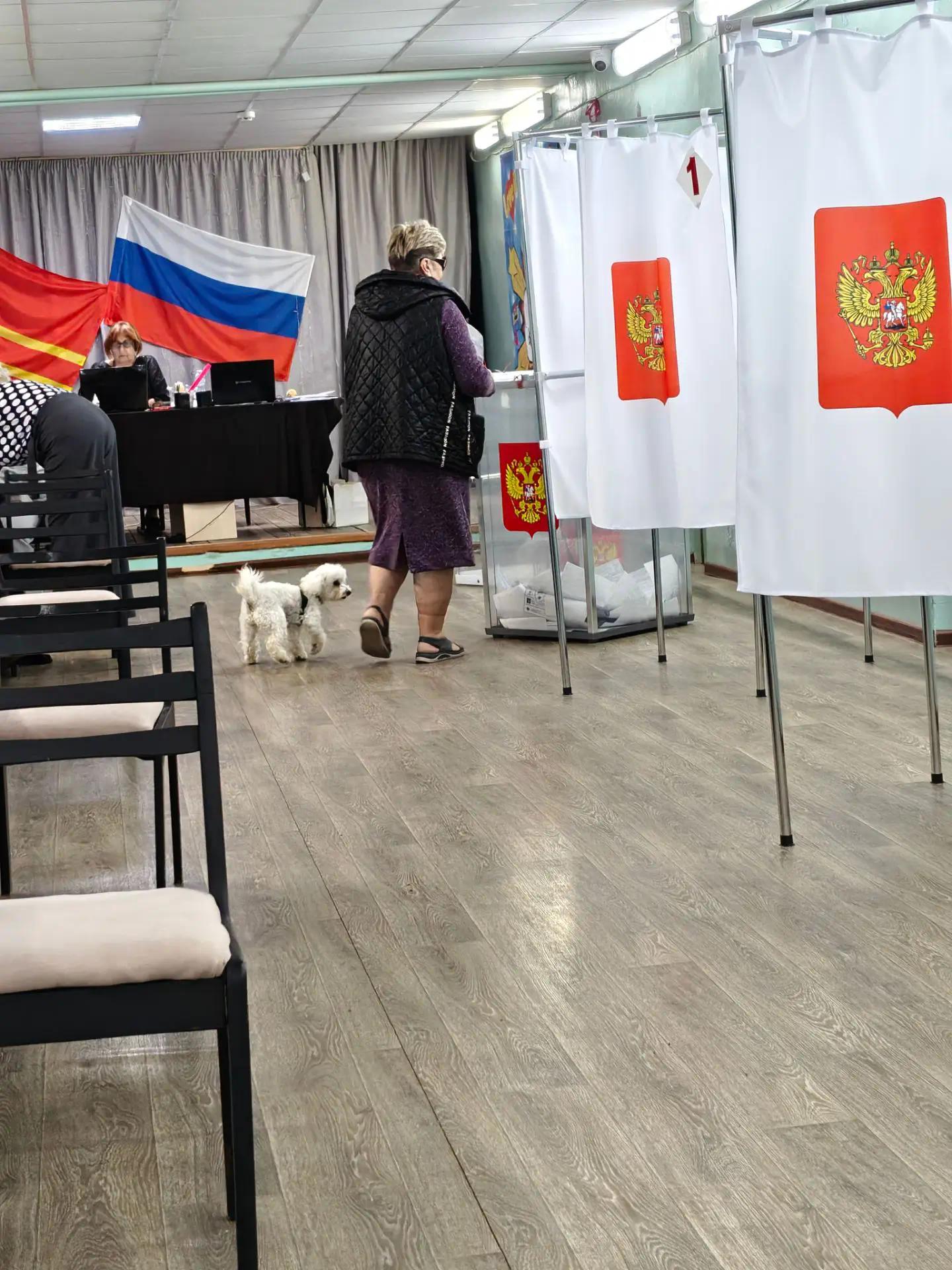 Сообщение — УИК №771, Смоленская область