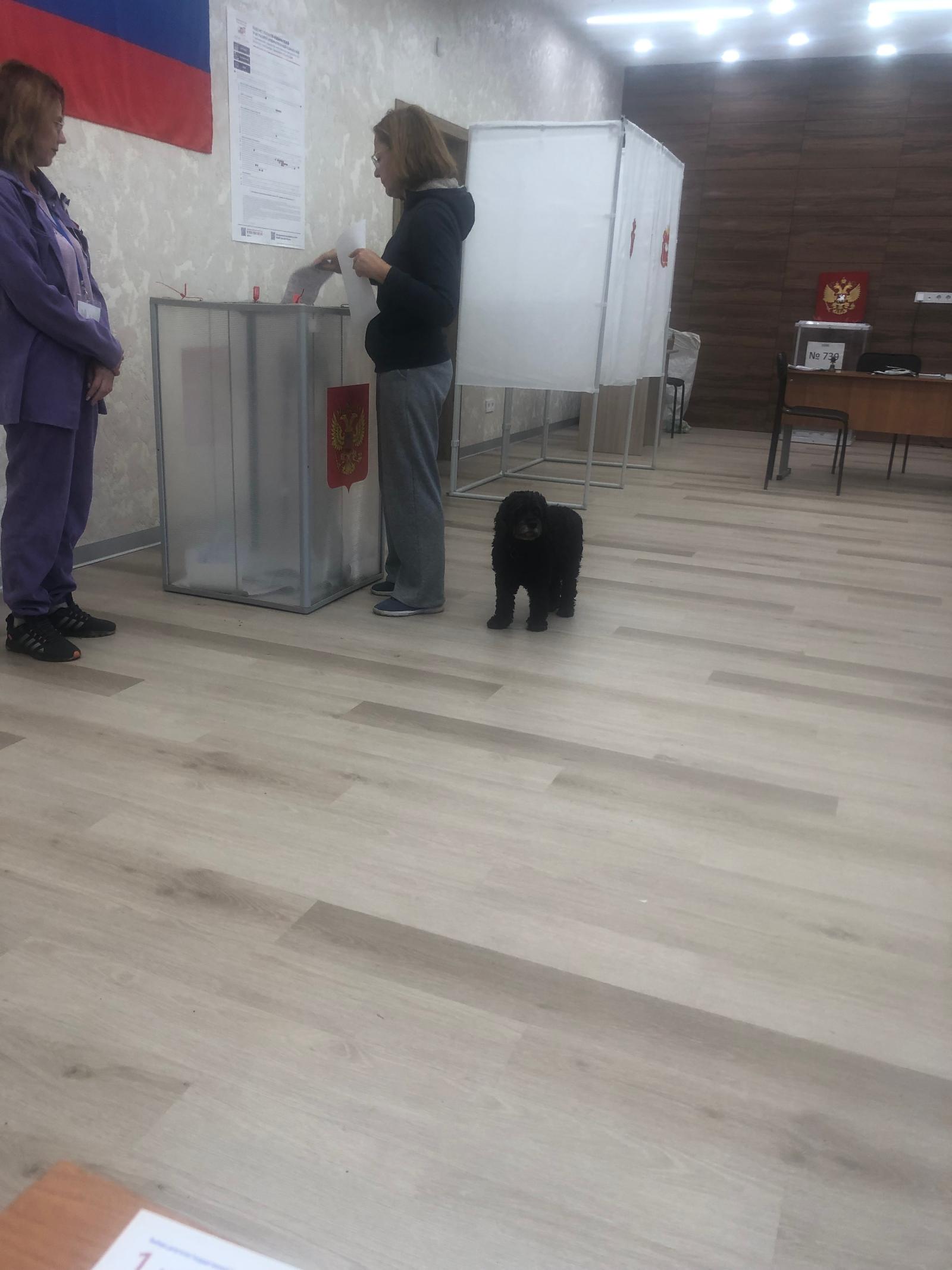 Сообщение — УИК №739, Челябинская область
