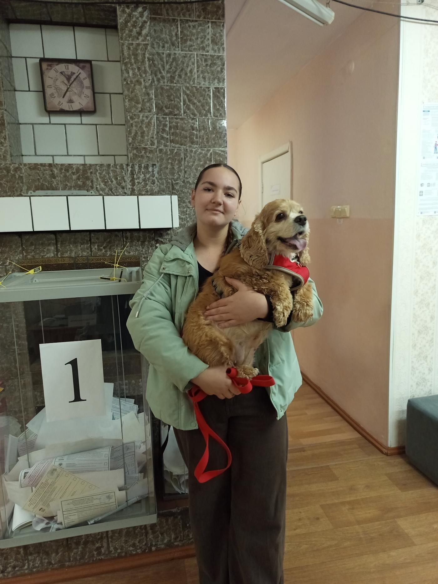 Сообщение — УИК №487, Омская область