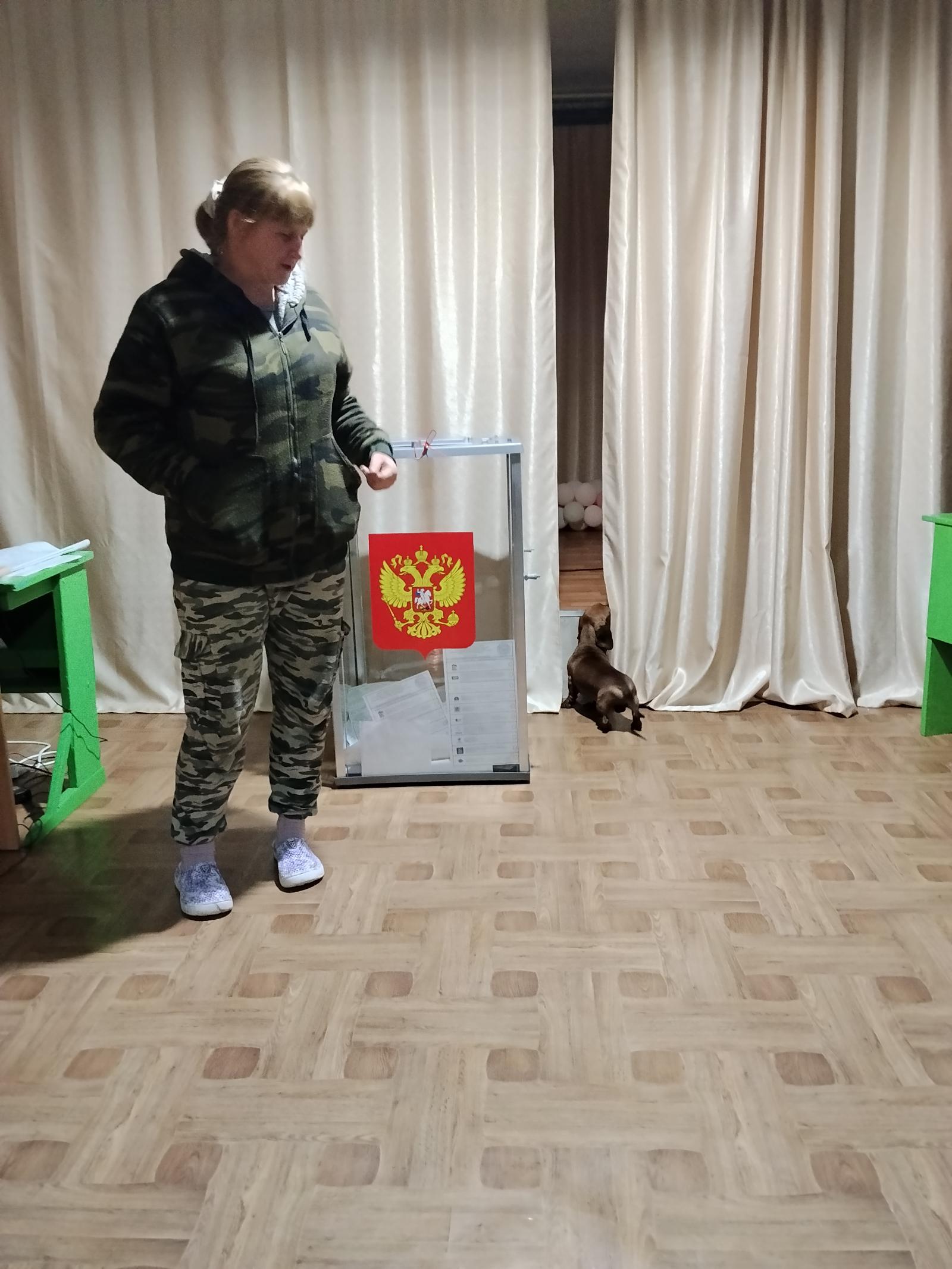 Сообщение — УИК №231, Смоленская область