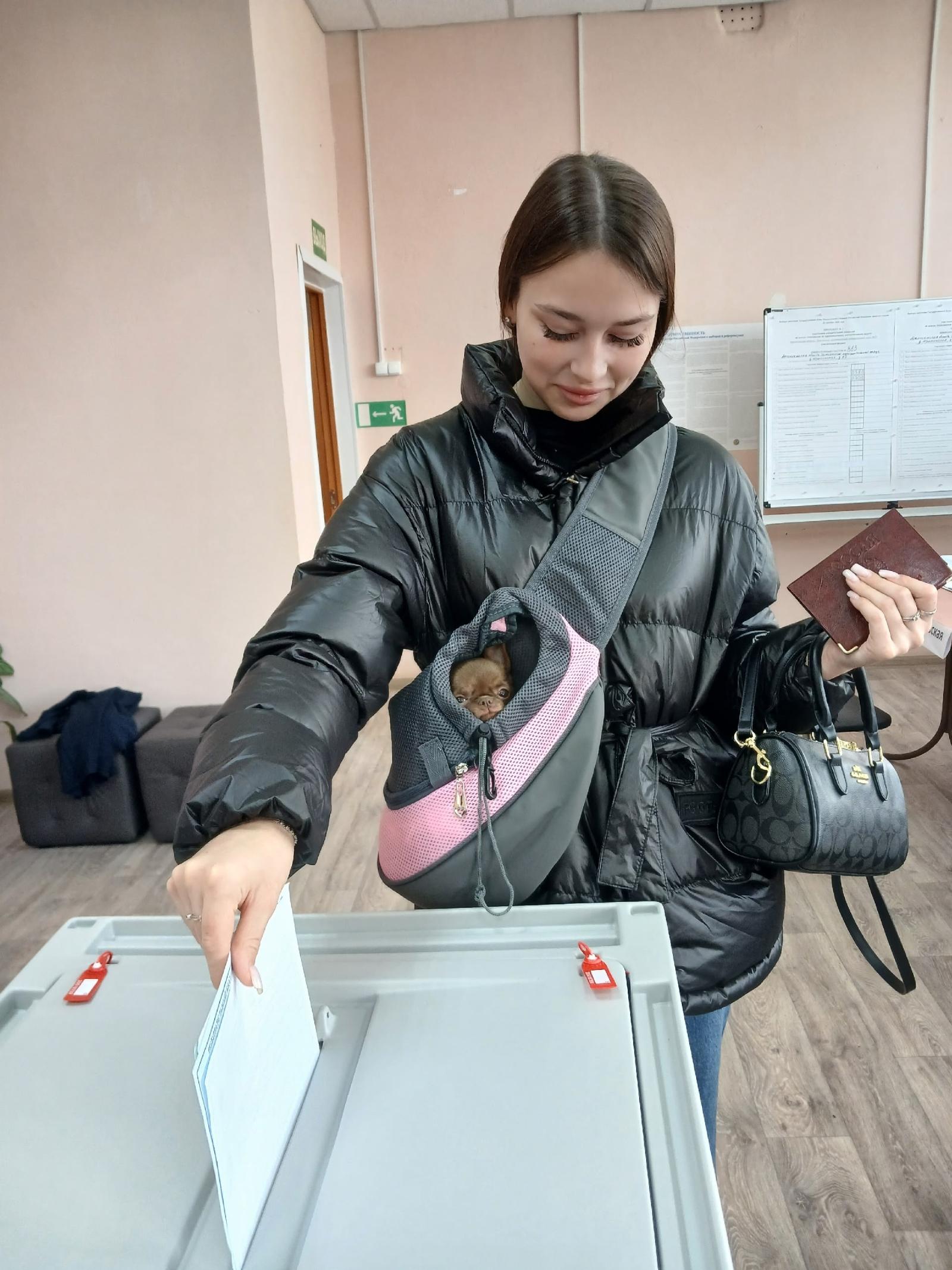 Сообщение — УИК №883, Архангельская область