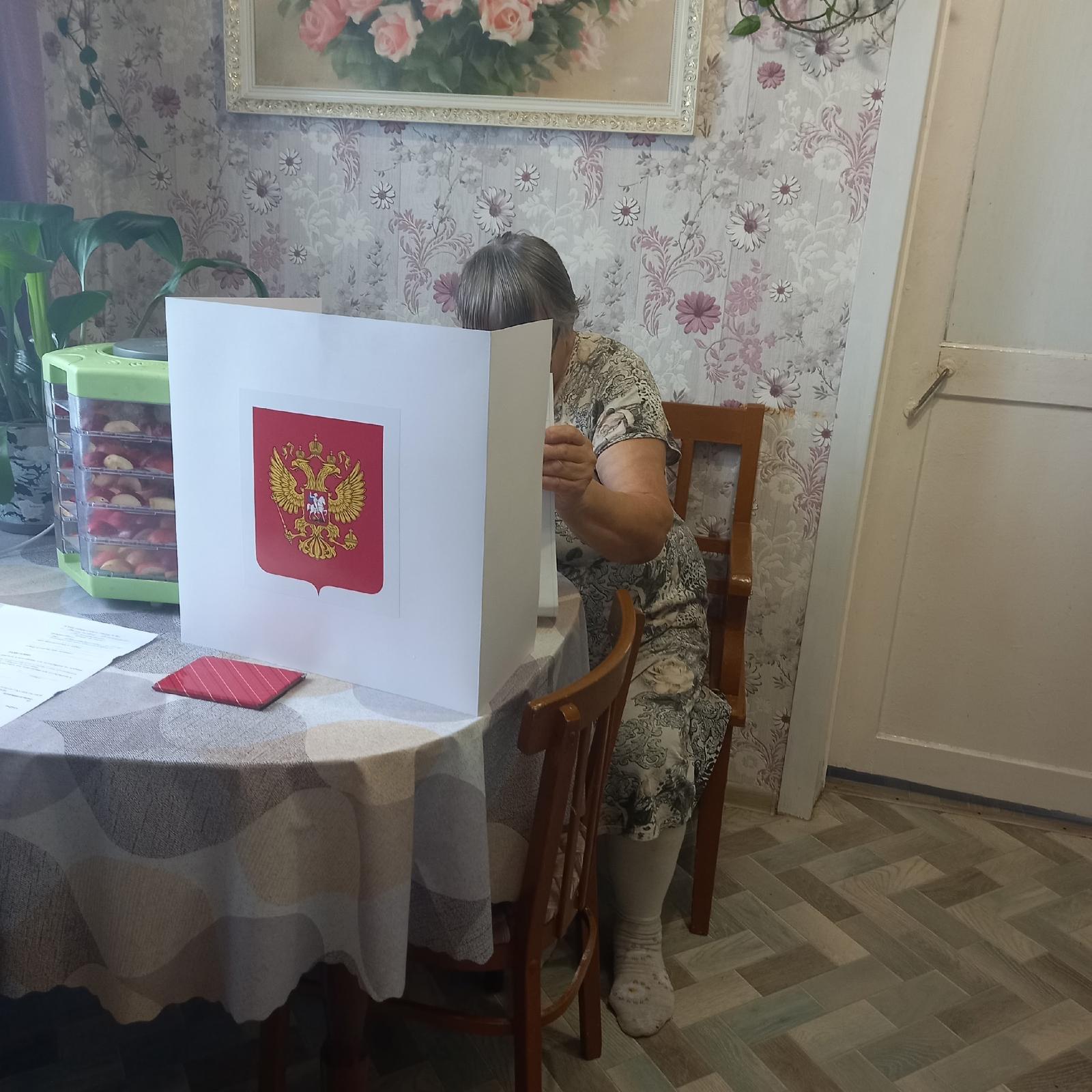 Сообщение — УИК №981, Архангельская область