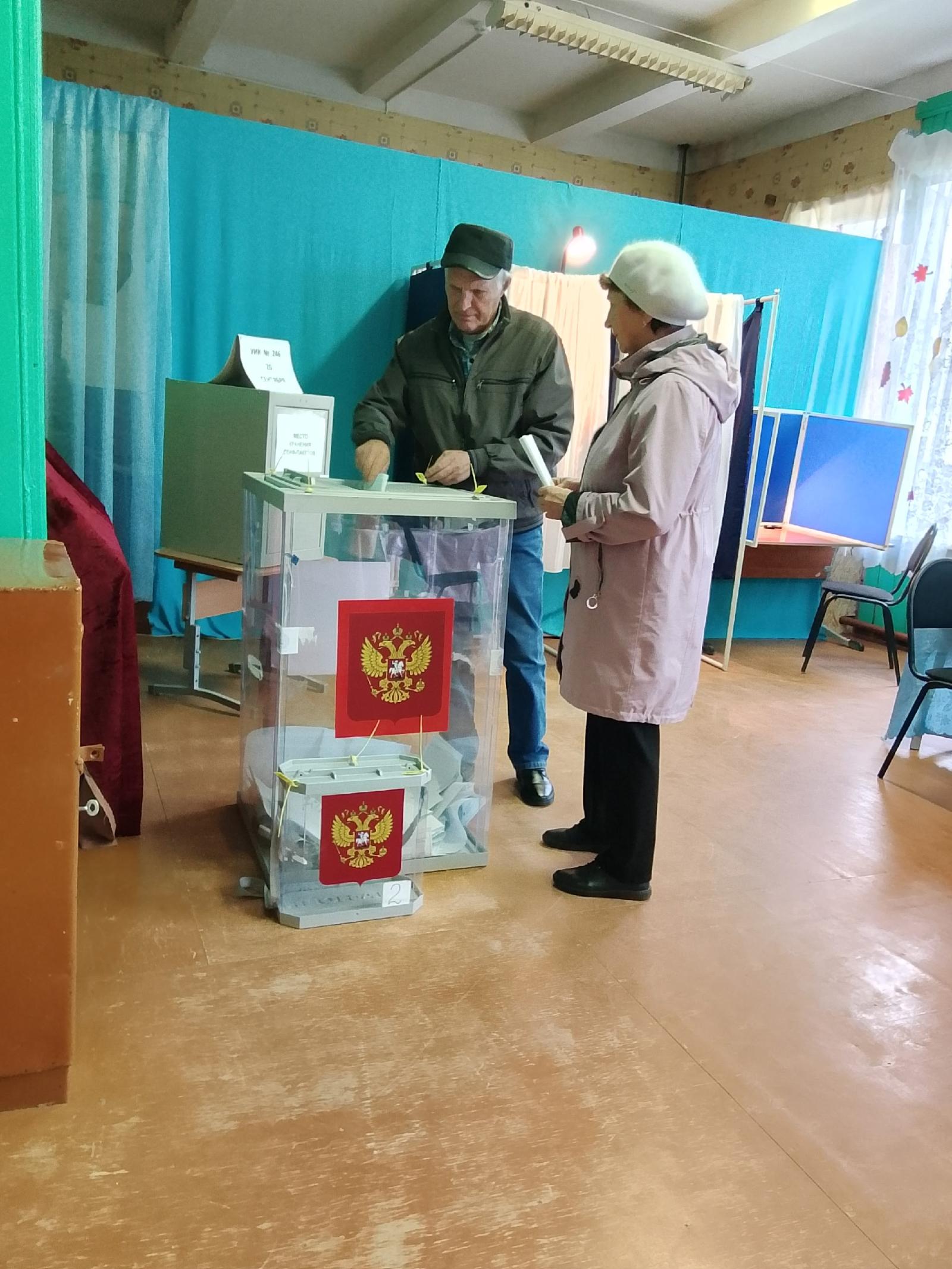 Сообщение — УИК №246, Архангельская область
