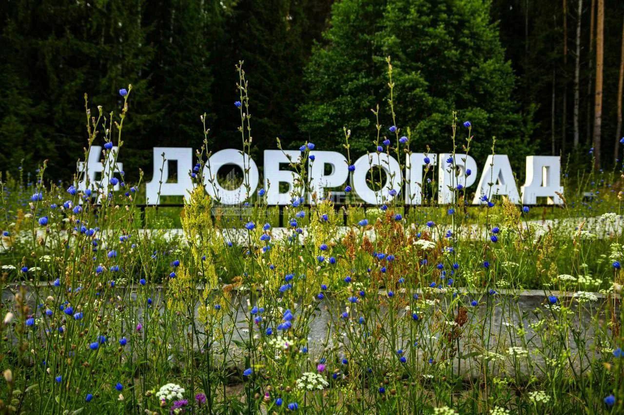 Сообщение — УИК №1098, Владимирская область