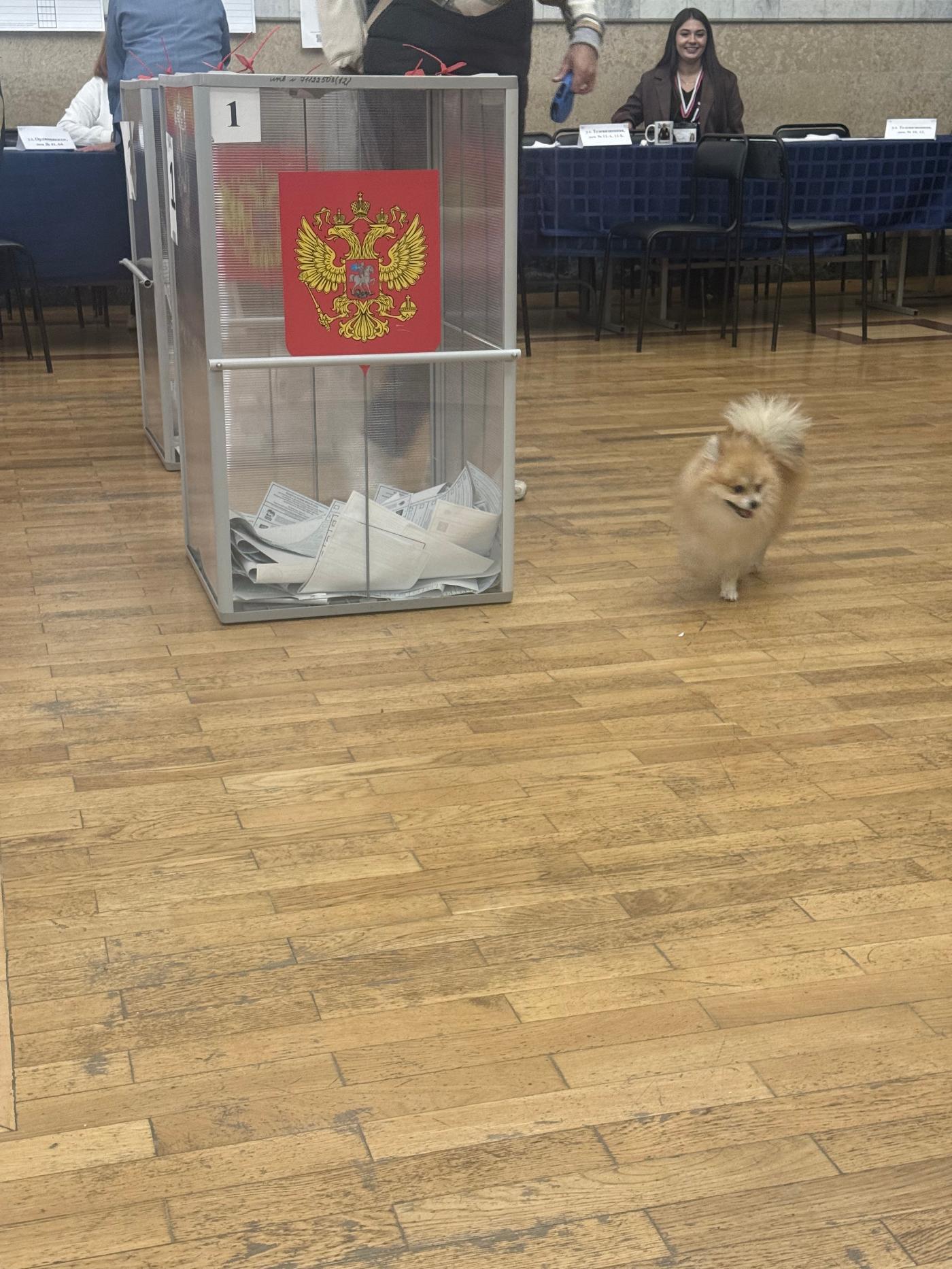 Сообщение — УИК №2063, Челябинская область