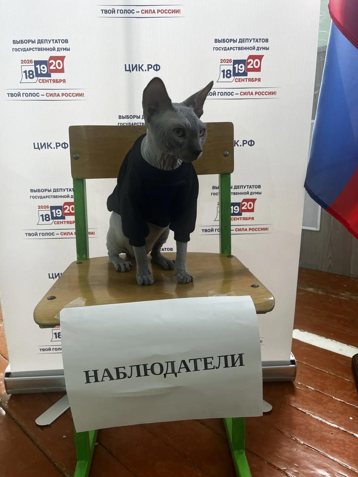 Сообщение — УИК №2604, Тульская область