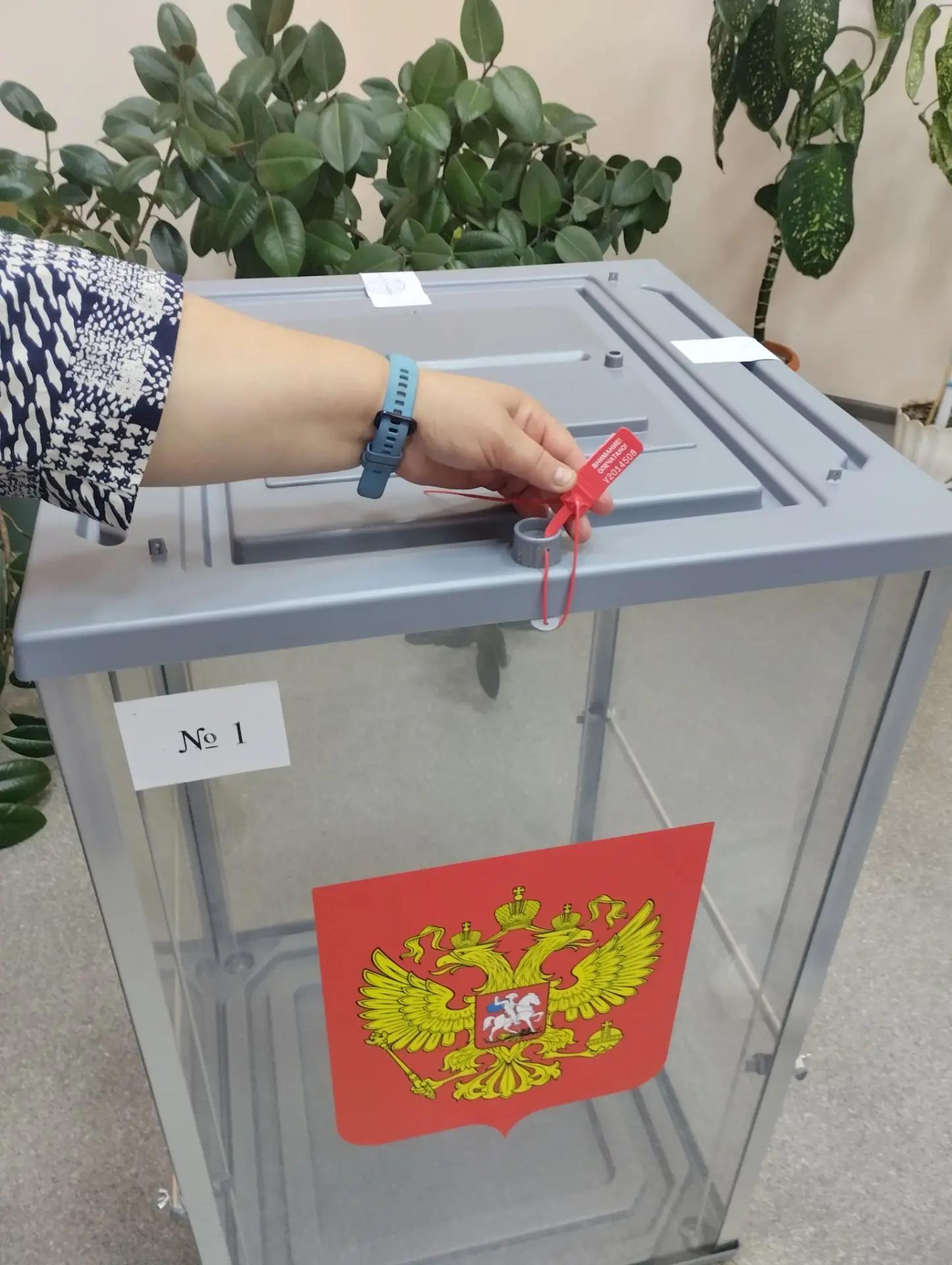 Сообщение — УИК №178, Смоленская область