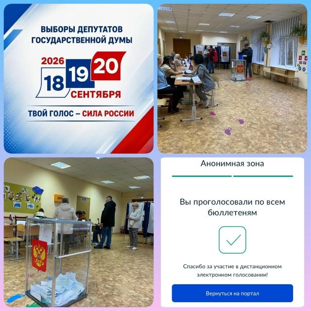Сообщение — УИК №569, Архангельская область