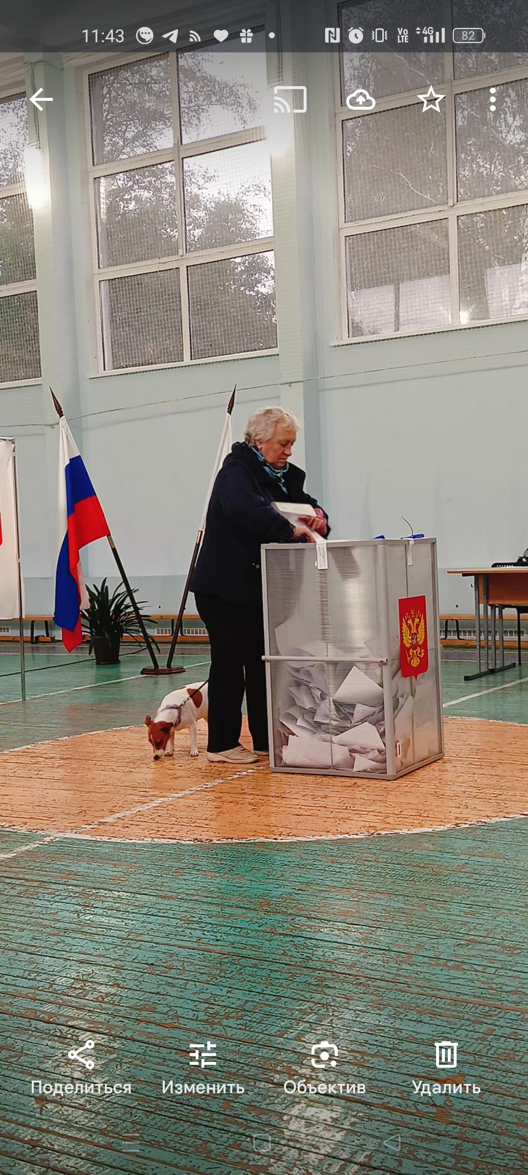 Сообщение — УИК №923, Ленинградская область